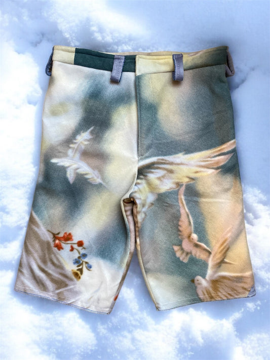 Cold Ascension Shorts